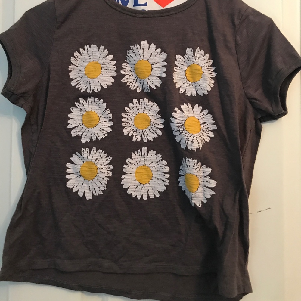 Well Worn Daisy Crop Top